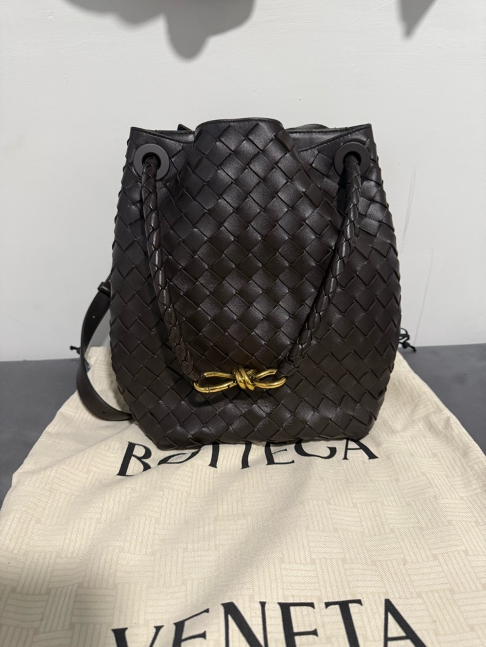 Bottega Veneta Andiamo crossbody Bucket bag